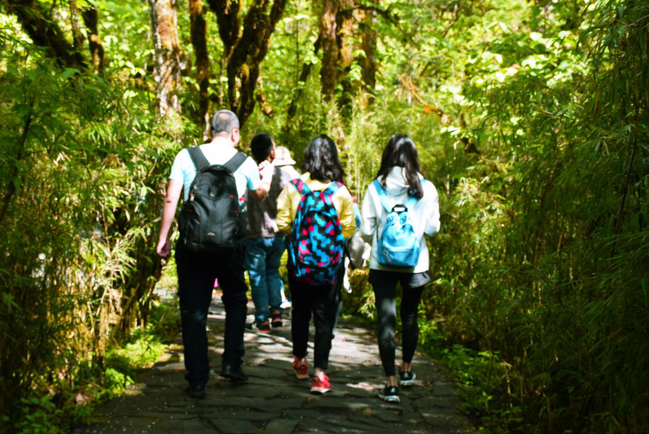 图片13.png 图片13.png