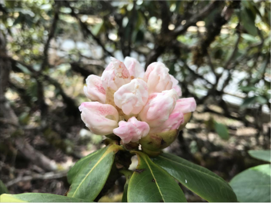 图片5.png 图片5.png