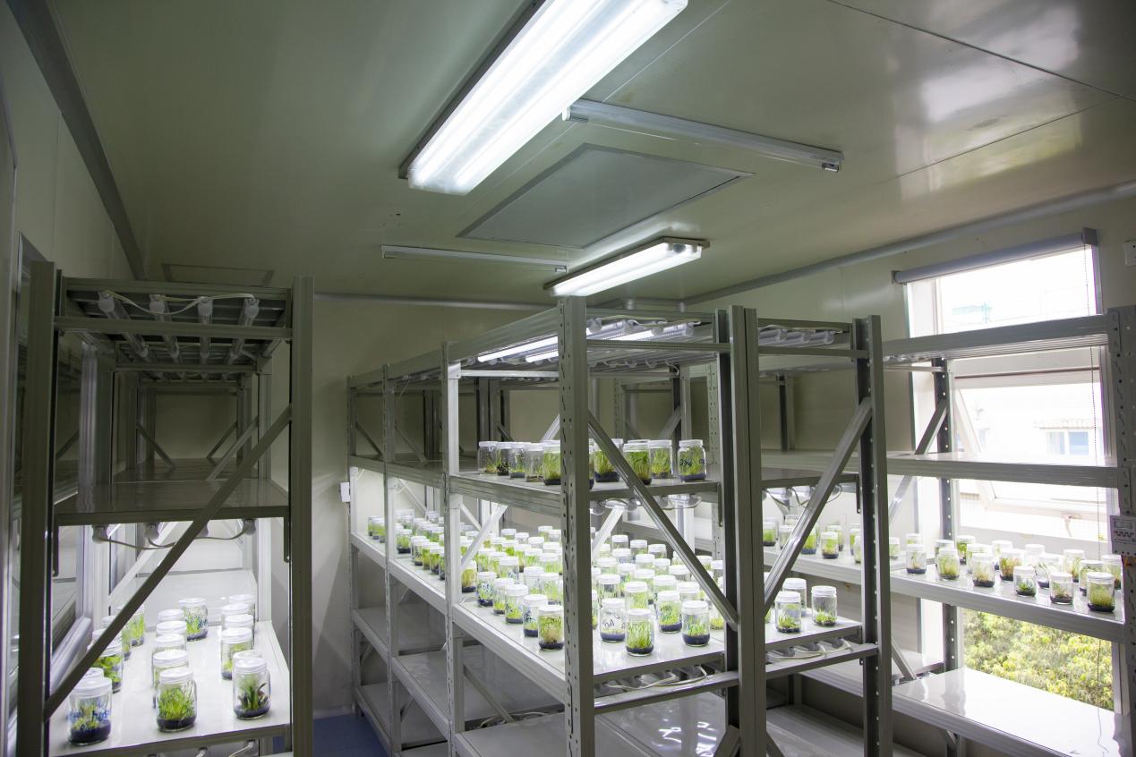 /uploads/image/2022/04/21/图片6.jpg 图片6.jpg