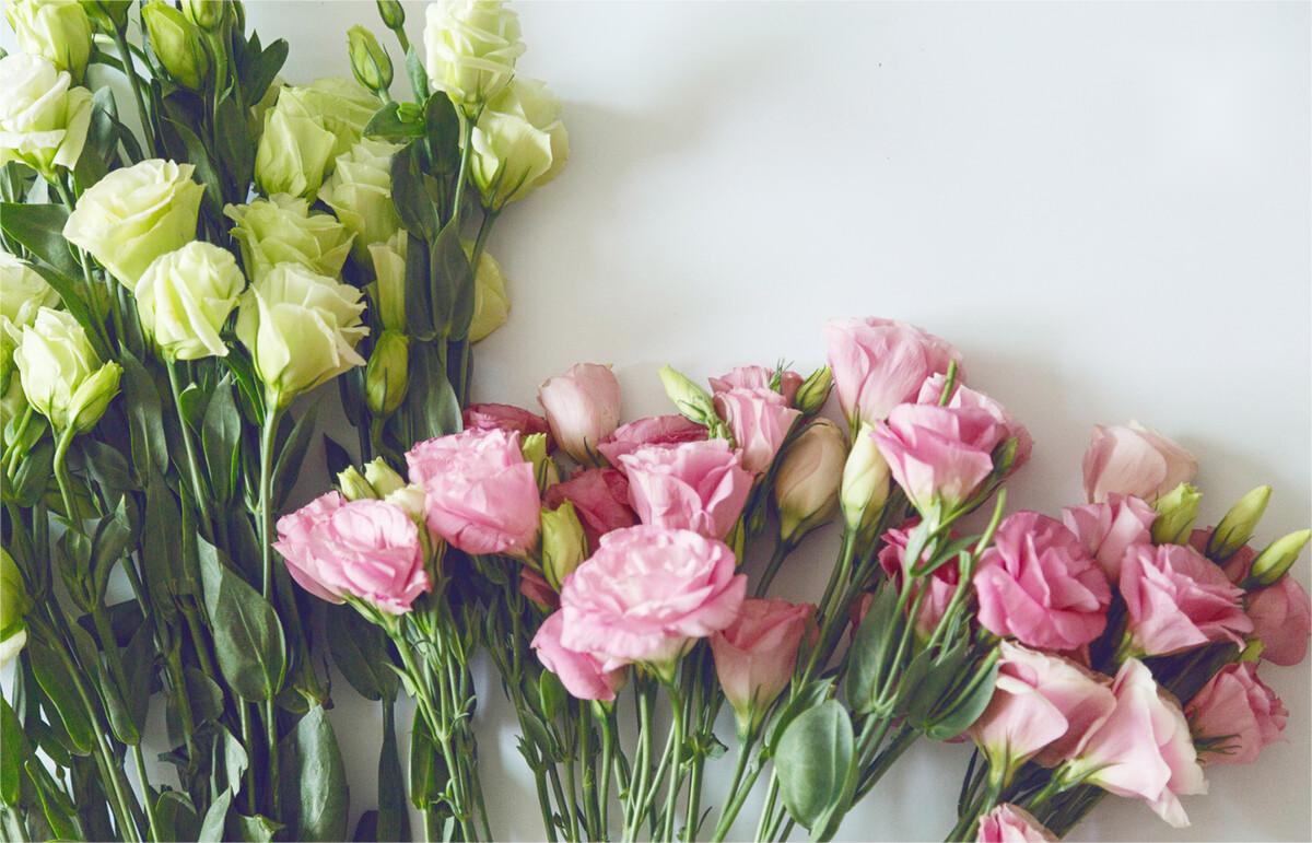 /uploads/image/2023/03/08/图片1.jpg 图片1.jpg